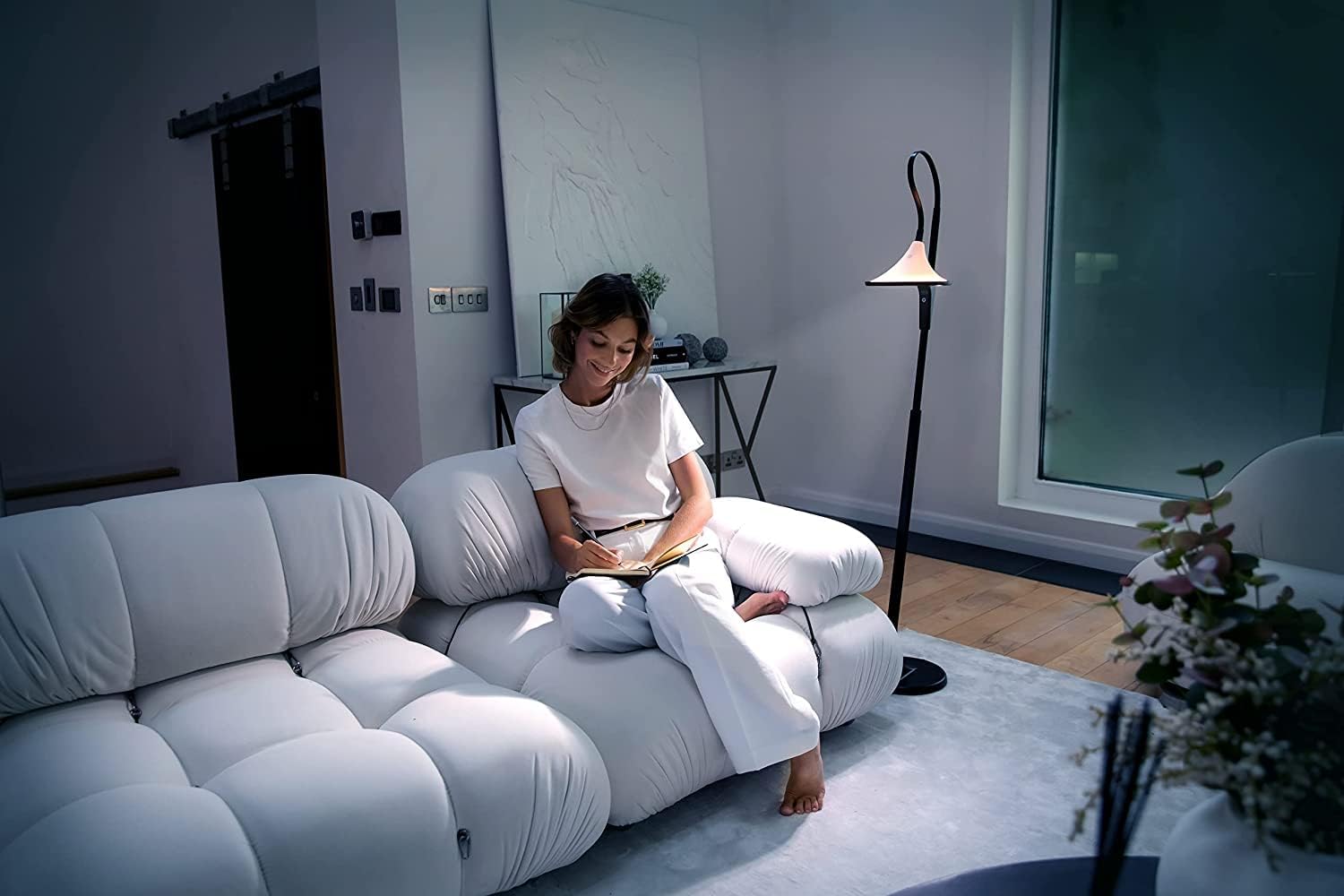 daylight The Company - Cometa Floor Lamp - Ray Technology - Colour Temperature: 6,000K/2,700K - Bright LED 95+ CRI - Great for Eye-Care