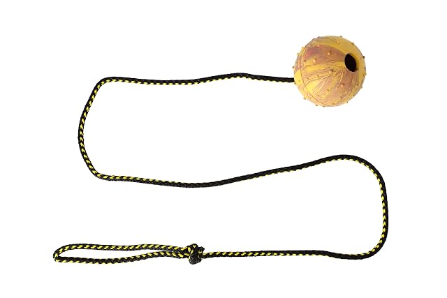 Pelota para Perro Dingo Nubby - Totalmente rellena de Goma, con Cuerda de 100 cm