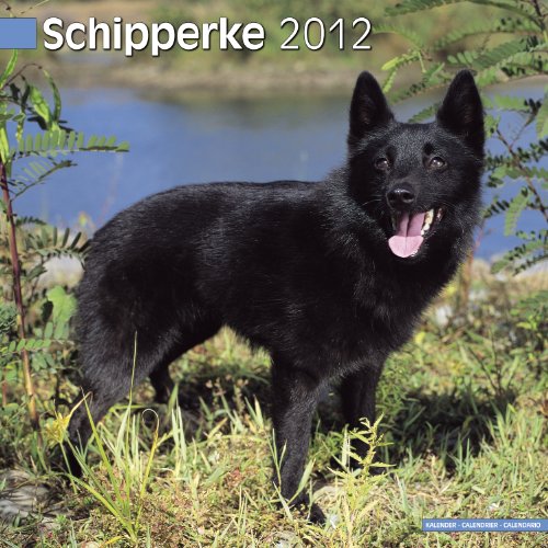Rejilla 2012 - Schipperke