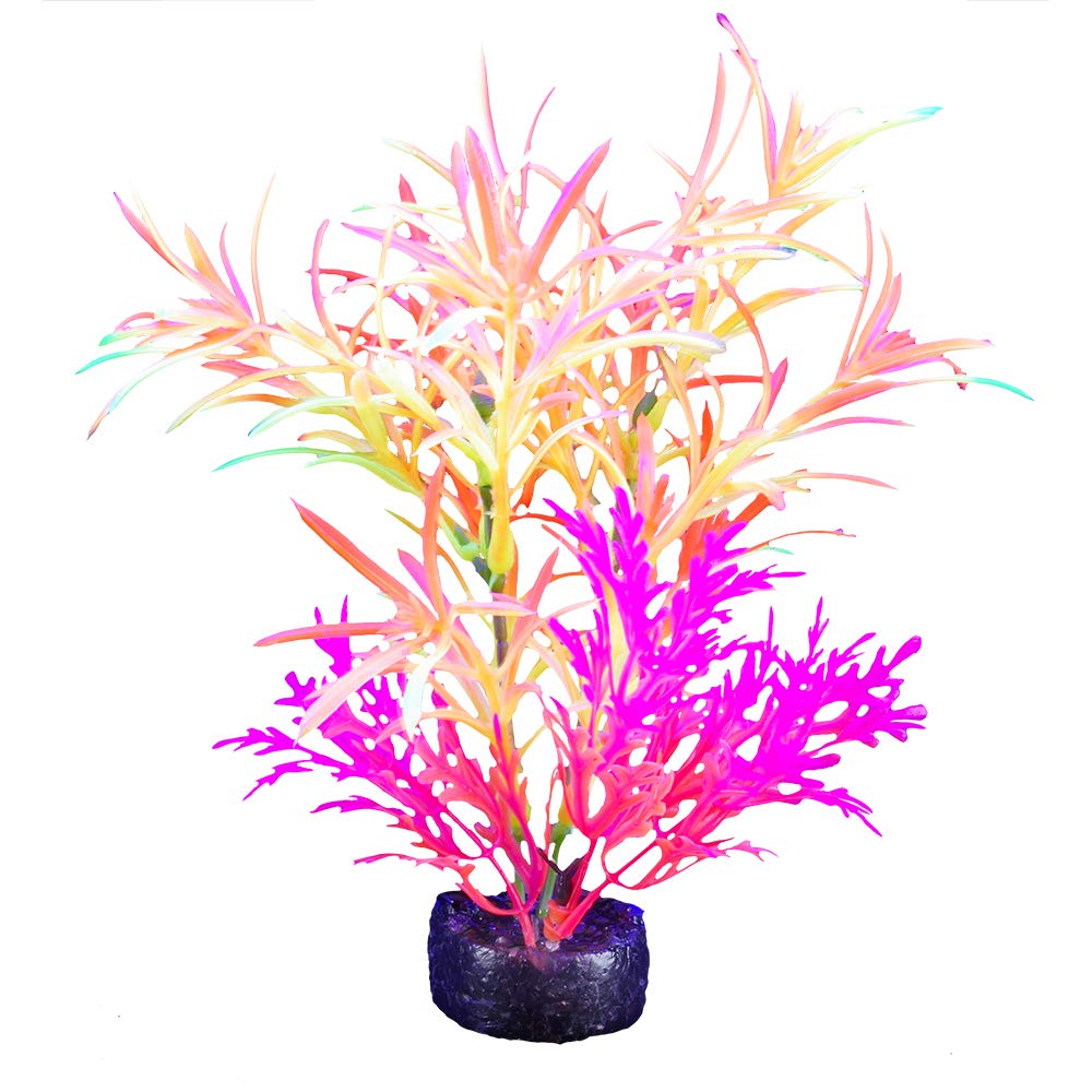 Marina iGlo Plant Pink Alternanthera 5.5" - Glows Under Blue LED!
