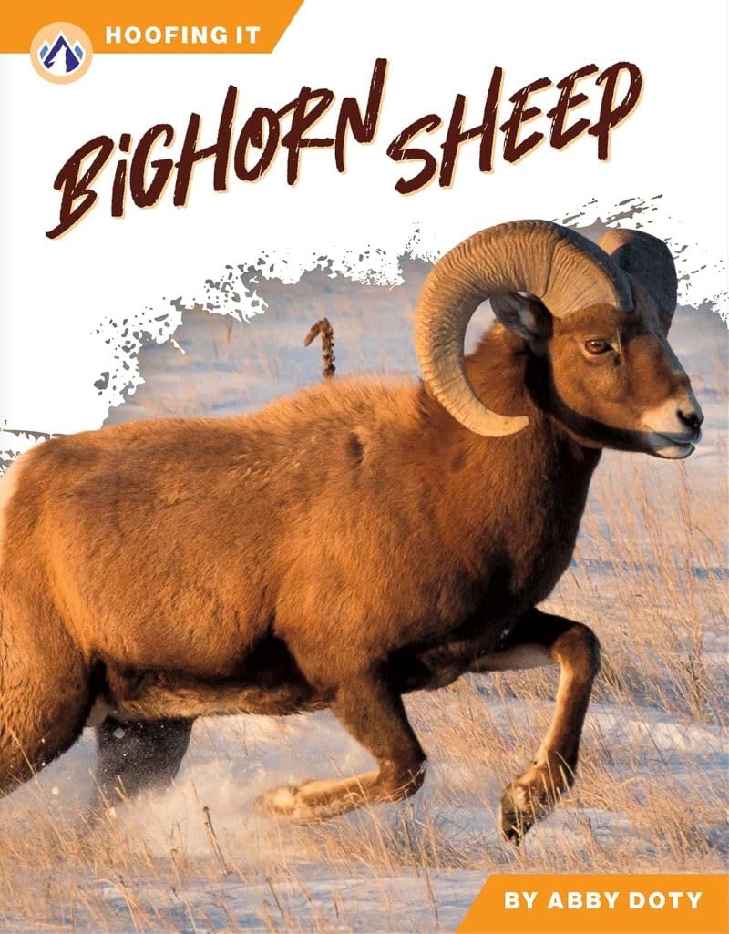 Bighorn Sheep (Hoofing It)