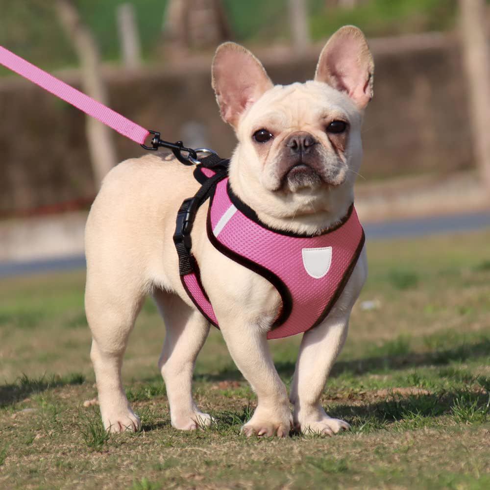 Heart Home Reflective Dog Harness With Adjustable Leash|Breathable Polyester Mesh Fabric With Top carry Handle|Small Size|HAT-818|Comfortable No-Pull Grip|Quick Release Buckles|Stylish Design|Pink (B0CQYJWJ5Z) Amazon Price History, Amazon Price Tracker