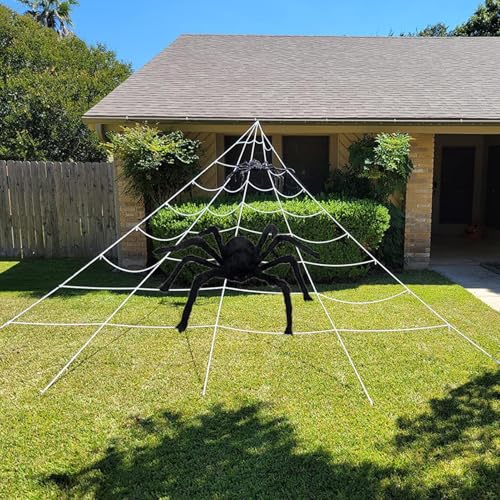 Décor Toile d'Araignée extensible pour jardin et maison d'Halloween