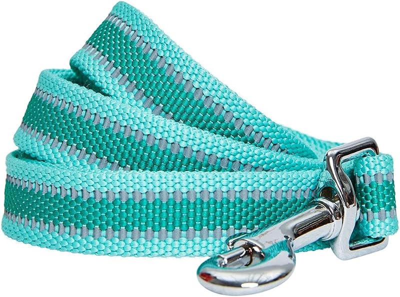 Blueberry Pet Essentials Reflective Better Basics Dog Leash, Minty Green, 5 ft x 3/4", Medium, Leashes for Dogs