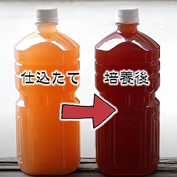 Amazon.co.jp: (桜めだかPSB培養セット) 高濃度 光合成細菌 PSB+ふやし