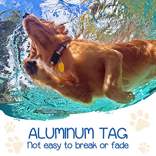 30Pcs Blank Dog Tags For Engraving, Aluminum Dog Tags With Ring For Diy Decorative Craft Pendant With Hole For Pet Dog Cat Name Phone Number Metal Stamping Tags (Round, Rectangle, Oval, Heart) #TOP6