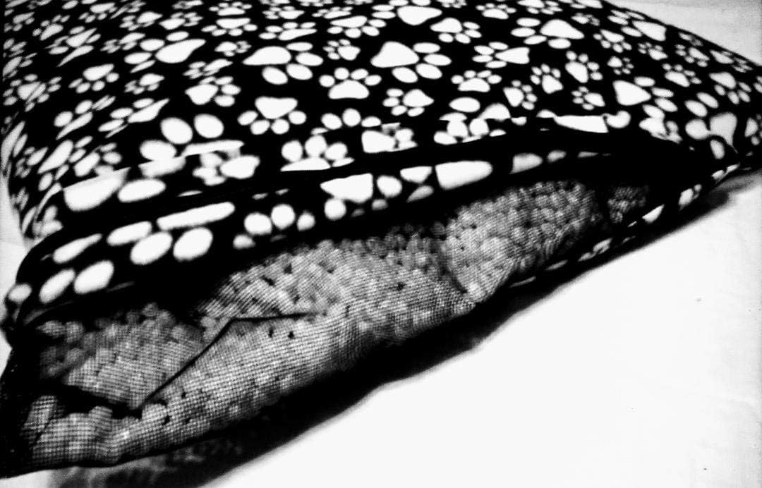 Furbaby Bean Beds- Completely Washable, Orthopedic, Floatable, Waterproof (Dogs/Cats) (Small 21in by 30in, Black with White Paw Prints)