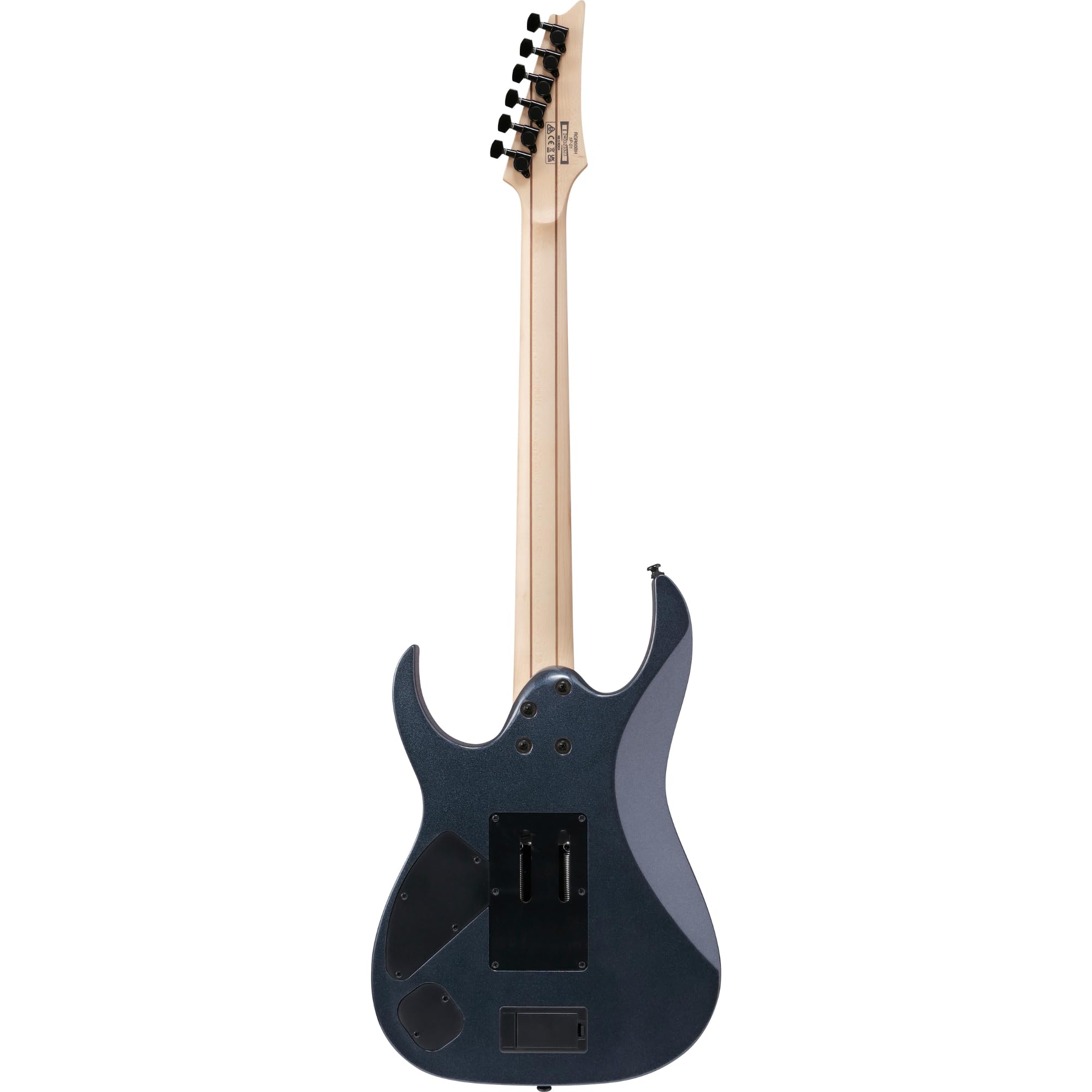Amazon | Ibanez RGR6BSP Iron Pewter 【限定モデル】 アイバニーズ