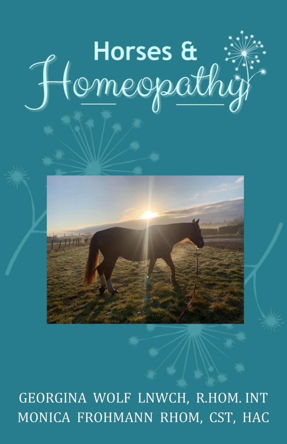 Horses and Homeopathy: 50 Remedy First Response and Acute Guide, Reference and Workbook
