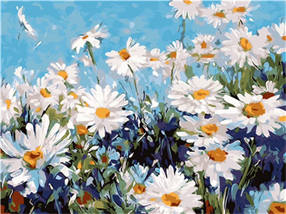 Amazon.co.jp: Meecaa Paint by Numbers 花菊キット 大人用 初心者 DIY