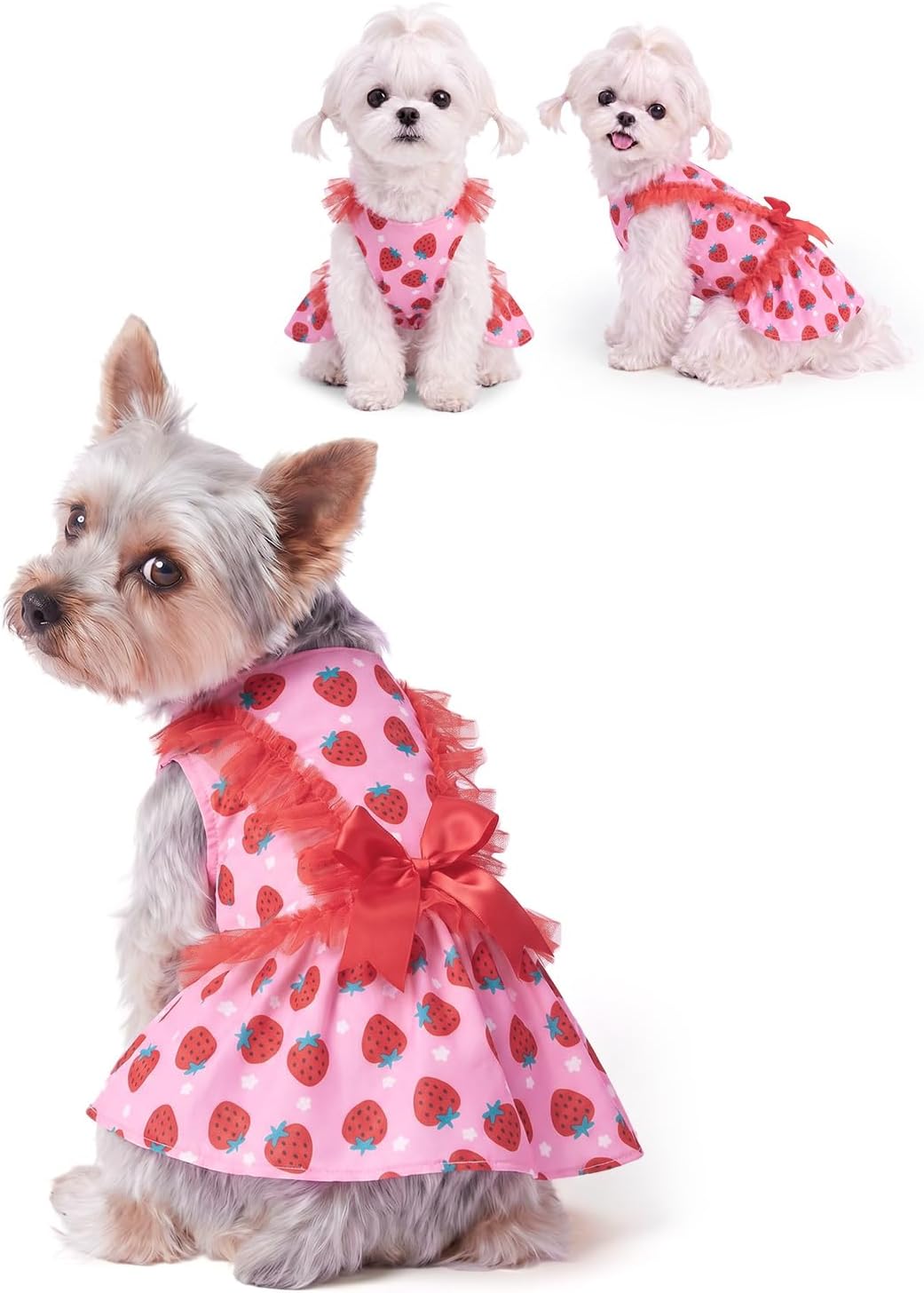 CuteBone Sunflower Pet Dress for Small Dogs, Cats - Yellow Tulle Ruffle Sleeves - Satin Bow - Summer Garden, Photo Dress
