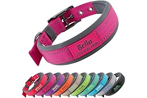 Personalized Dog Collar with Name and Phone Number