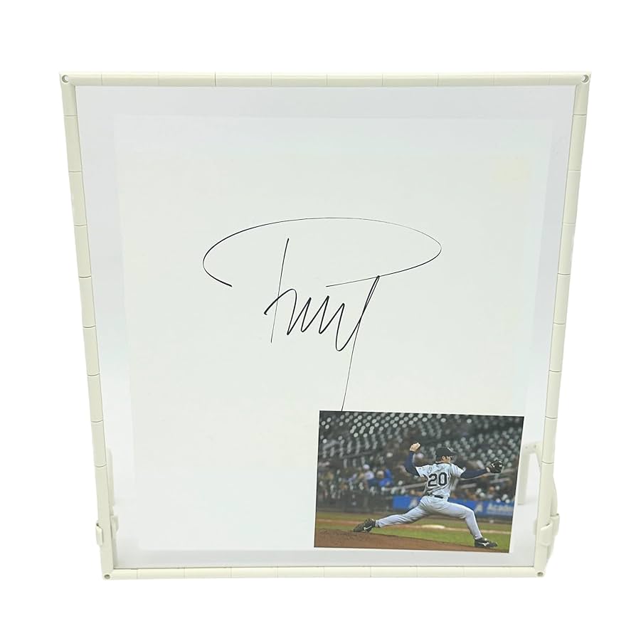 のん　サイン色紙(フレーム付) のん サイン色紙(フレーム付)