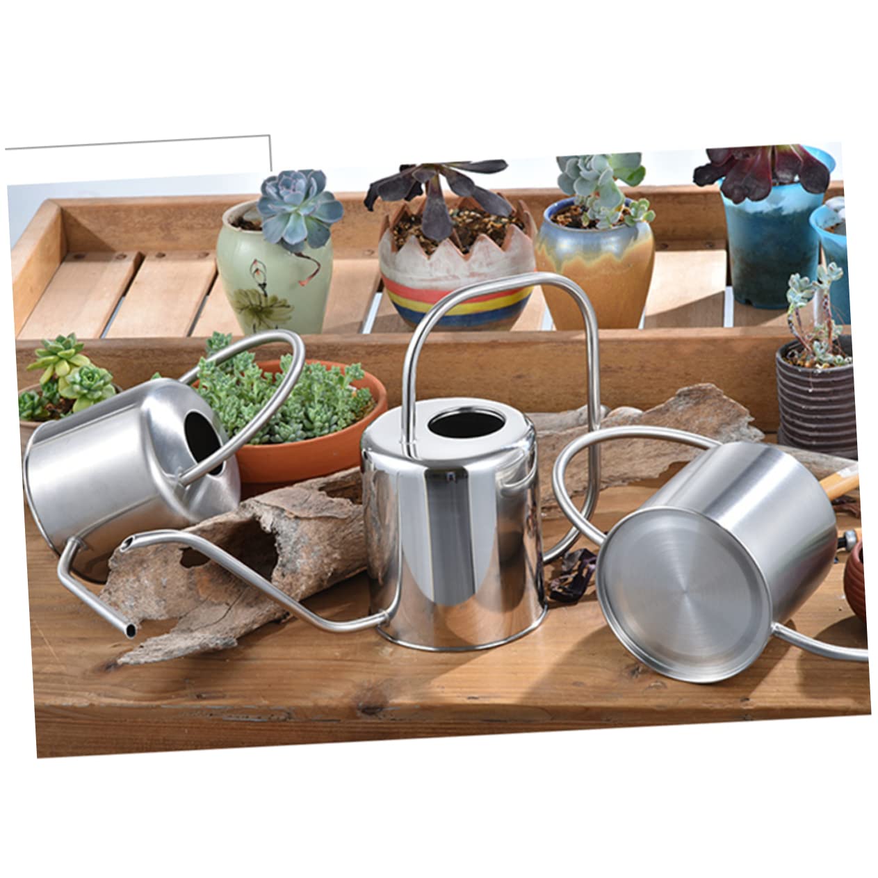 Regadera de Acero Inoxidable 1, 3 L para Suculentas y Flores de Interior