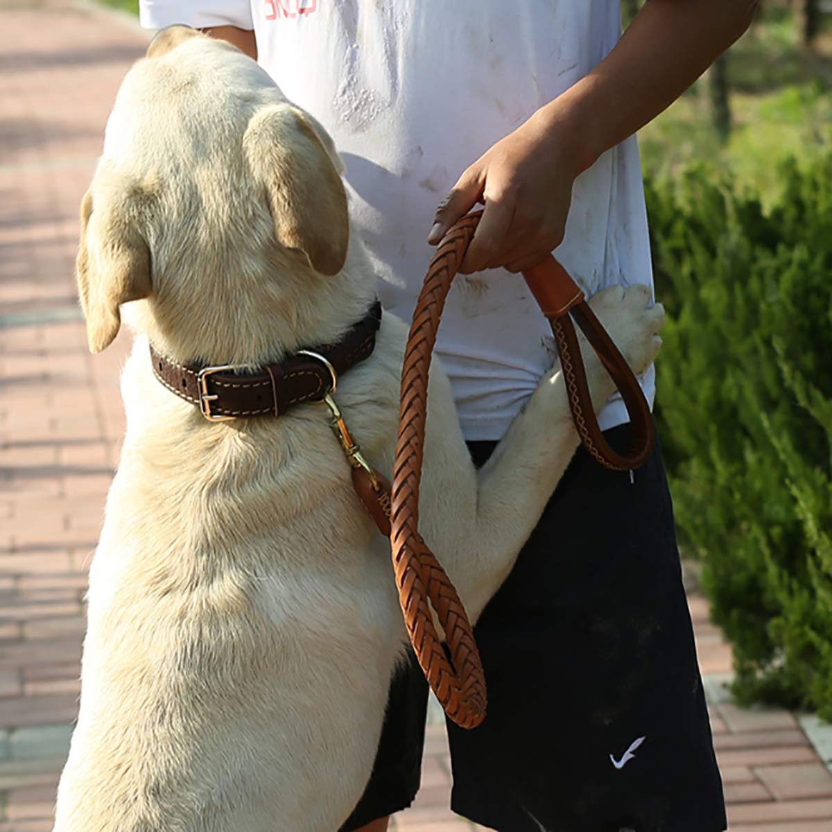 Laisse pour chien en cuir véritable de 1,1 m de long et 2,5 cm de large avec poignée souple tressée pour chiens de taille moyenne et grande (1,9 m)