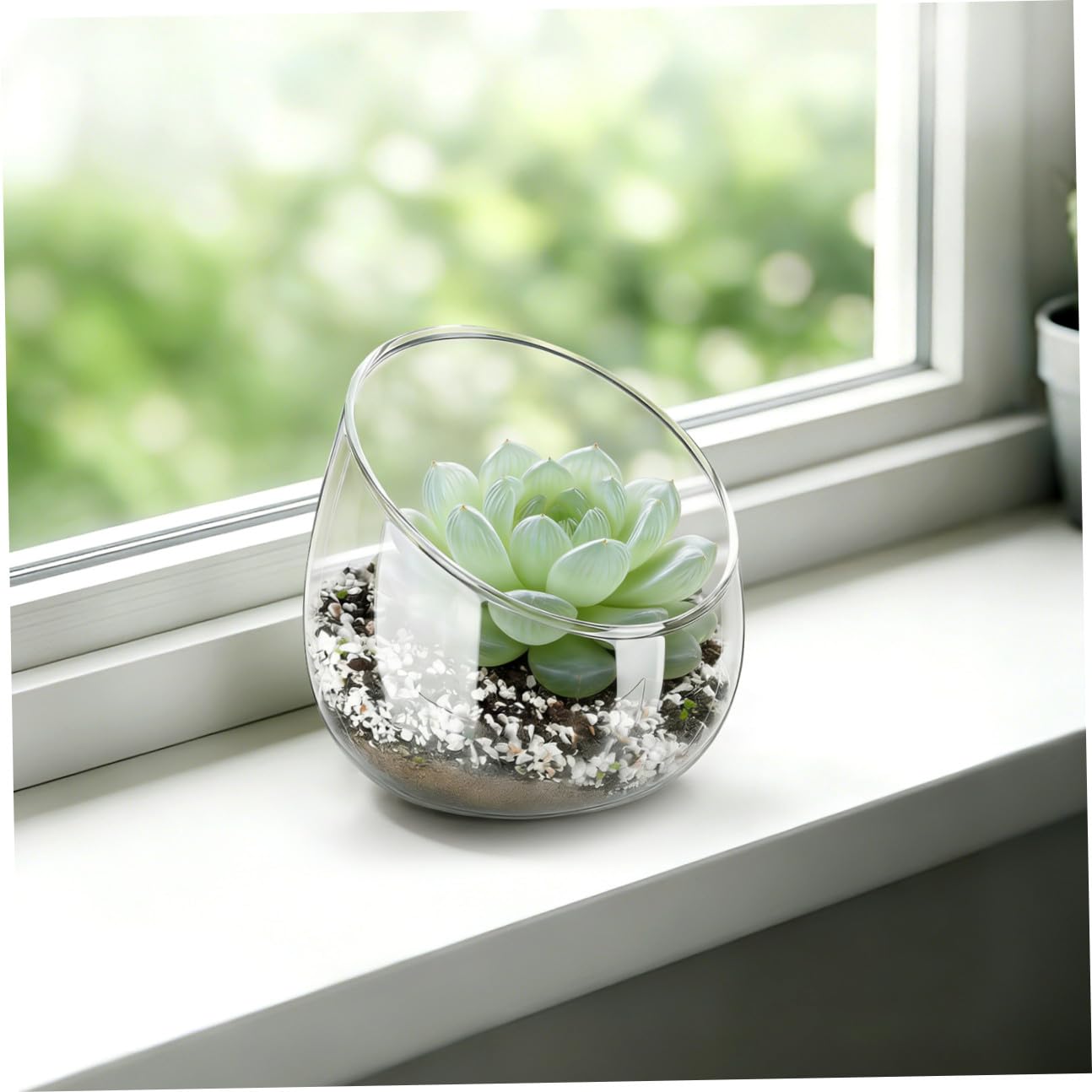 Terrario de Vidrio con Boca Inclinada para Plantas y Musgo, Maceta Decorativa Versátil y Elegante para Interiores y Centros de Mesa