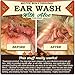 MISTER BEN'S Ear Wash for Dogs - Voted Best Dog Ear Cleaner - Stop Head Shaking, Scratching & Discomfort Fast – One of The Most Effective Solutions Available, Vet Trusted & Made in USA