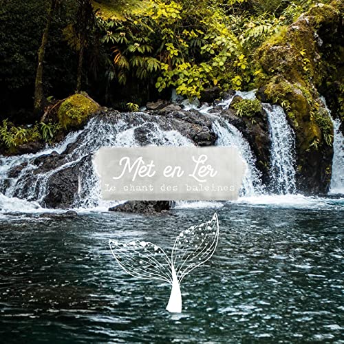 #1 Le chant des Baleines