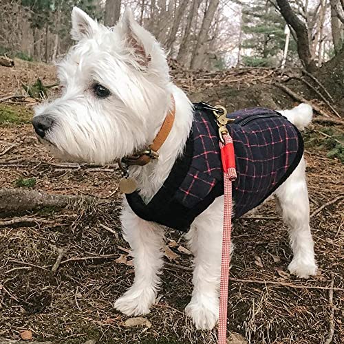 Image of Gooby Fashion Vest Check Dog Jacket, Navy Check, X-Small | Checkered quilted bomber, water-resistant; Stretch knit bottom; Dual D-ring leash; Pain-free zipper guard