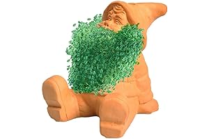 Chia Trump: The Seedtastic Symbol of Resistance!