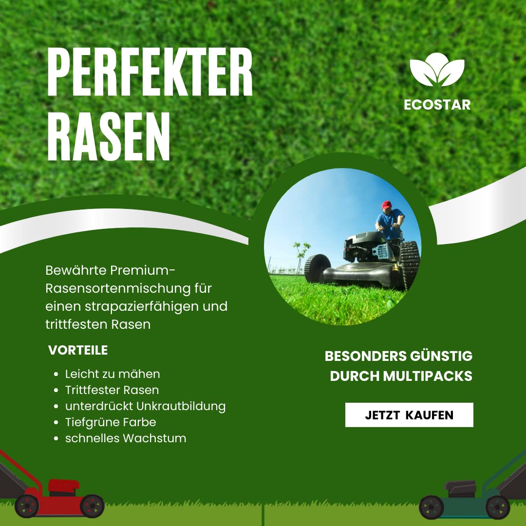 Ecostar Trockenrasen 5 kg | Rasensamen schnellkeimend - SEHR GUT im Preis - Schnell wachsender Rasen Made in Germany - Rasensaat für unkrautfreien Rasen im Garten