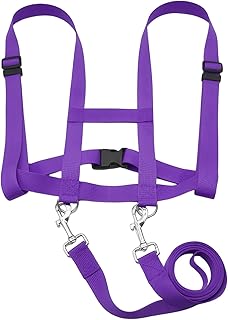 Children's Horse Lead, Children's Horse Harness for Role Play and Outdoor Activities, Children's Lead for 3-12 Years, Adjustable Toy for Boys and Girls, Purple