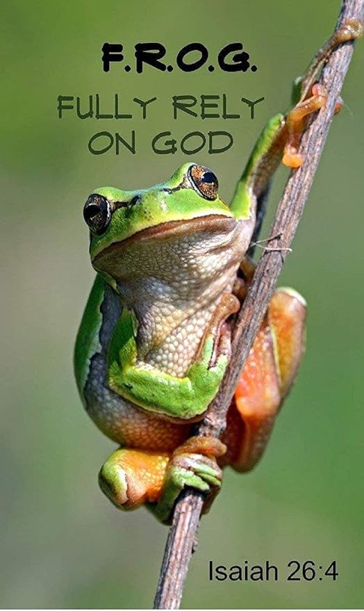 Amazon.com: Biblebanz Fully Rely On God Frog Christian Magnets (24 Count) :  Toys & Games