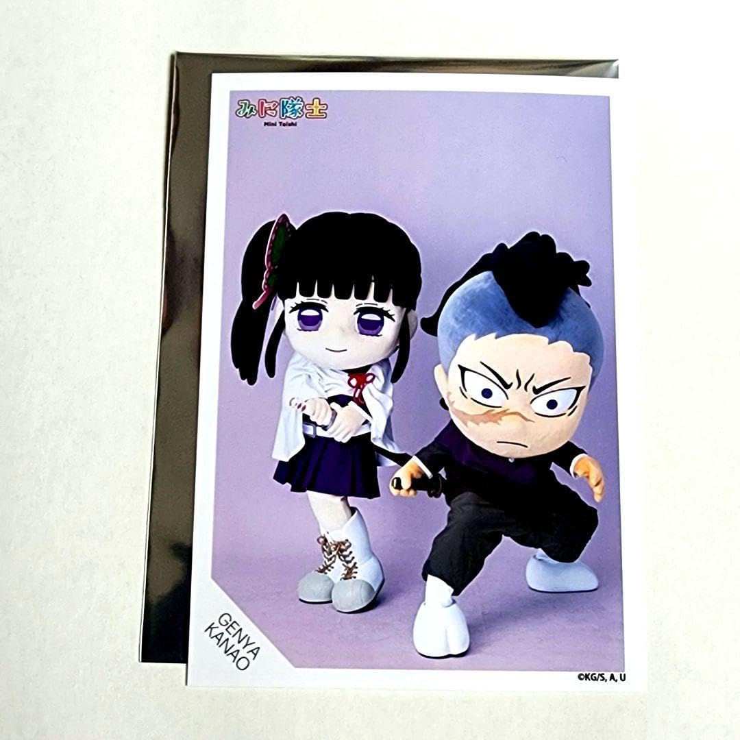 Amazon.co.jp: 鬼 滅 みに隊士 栗花落カナヲ 不死川玄弥 : おもちゃ