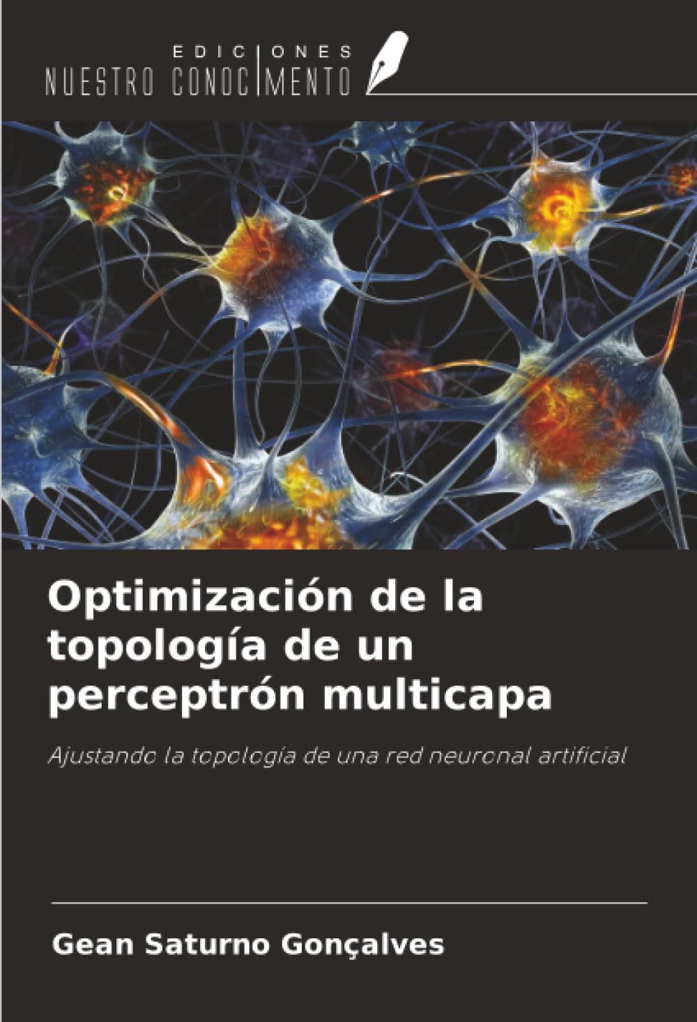 Optimización de la topología de un perceptrón multicapa: Ajustando la topología de una red neuronal artificial