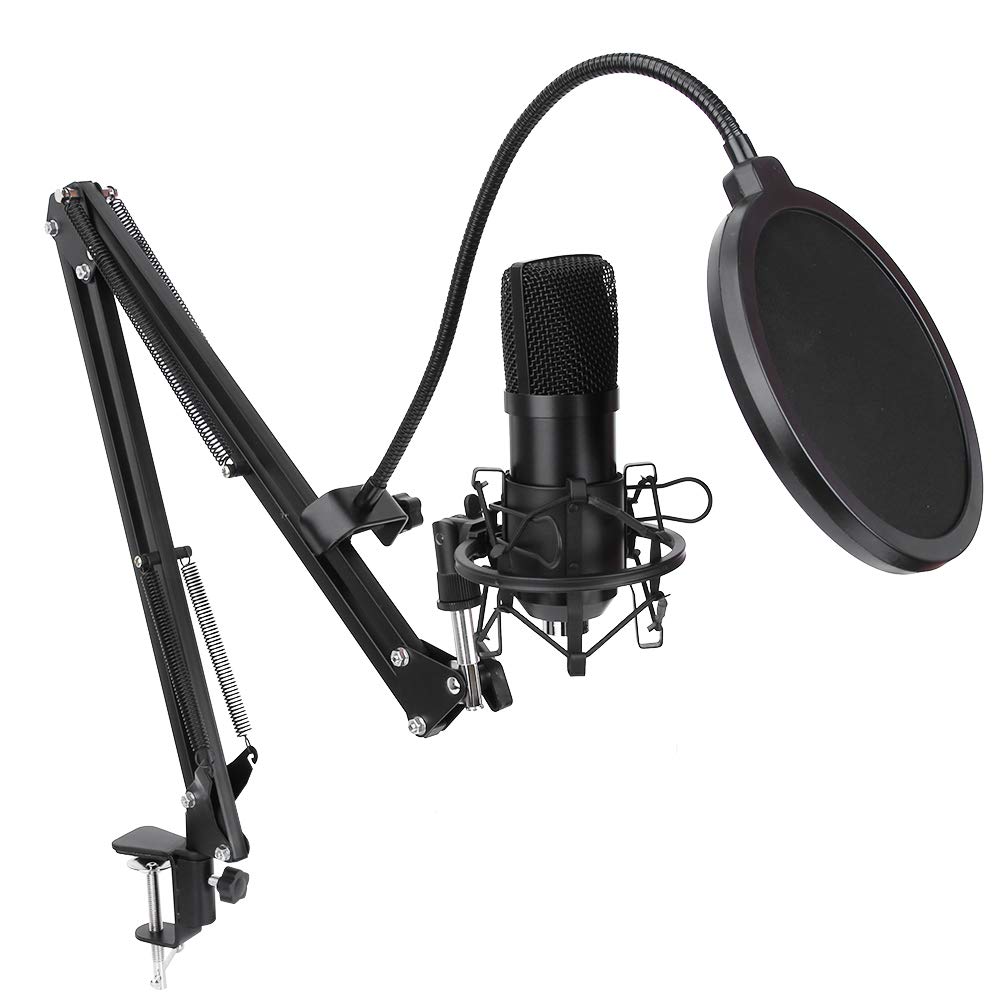 RiToEasysports Mikrofon do Nagrywania, 5 V/150 MA, częstotliwość Próbkowania 96 KHz, Mikrofon do Nagrywania z Wysięgnikiem, Stojakiem, Kardioidalny Pojemnościowy Plug and Play