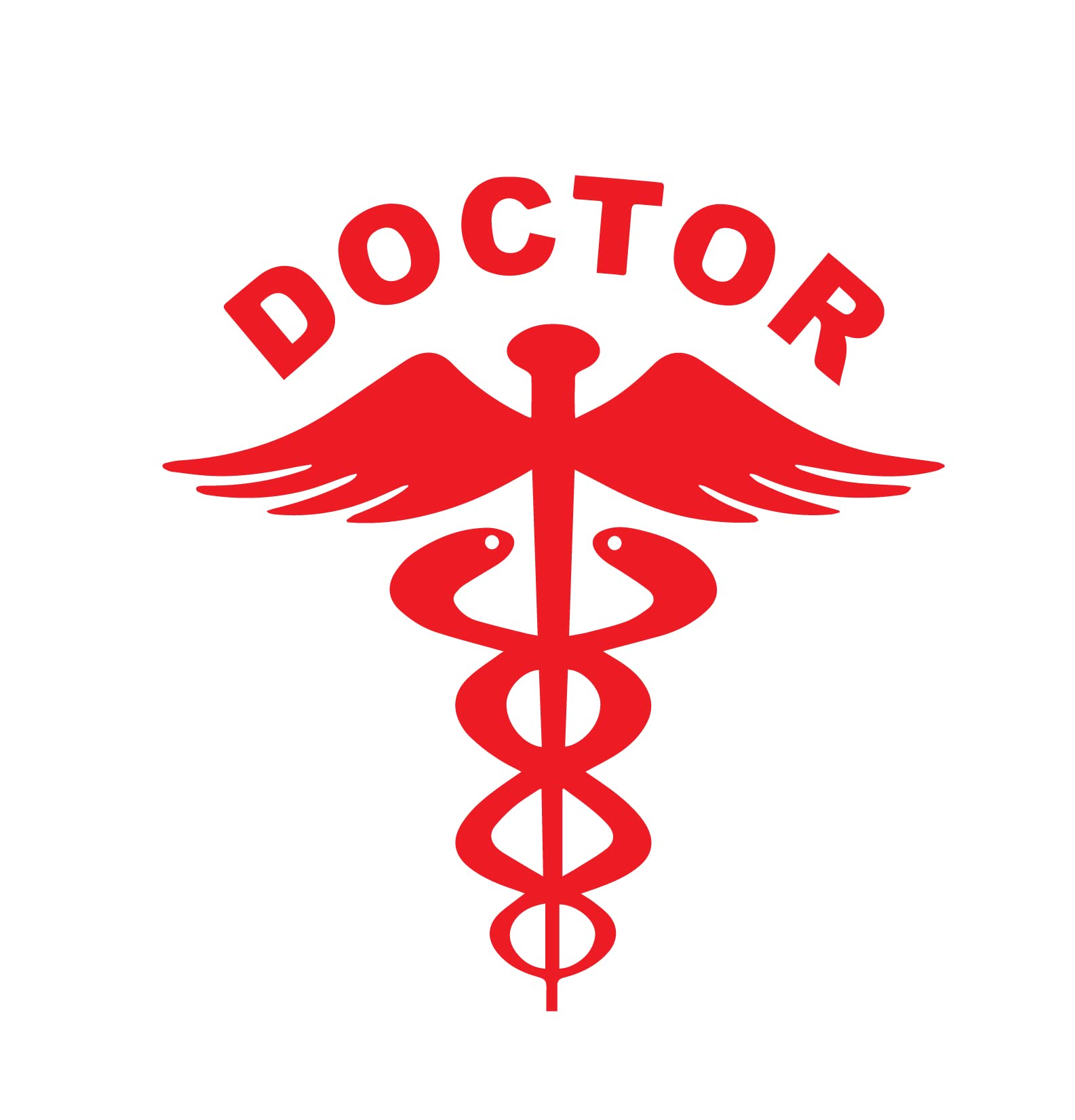 BIRD'S MIND Doctor Logo Car Stickers Side Window Back Side Exterior Graphics Decor Car Stickers Waterproof L x H 14.5 x 15.5Cms