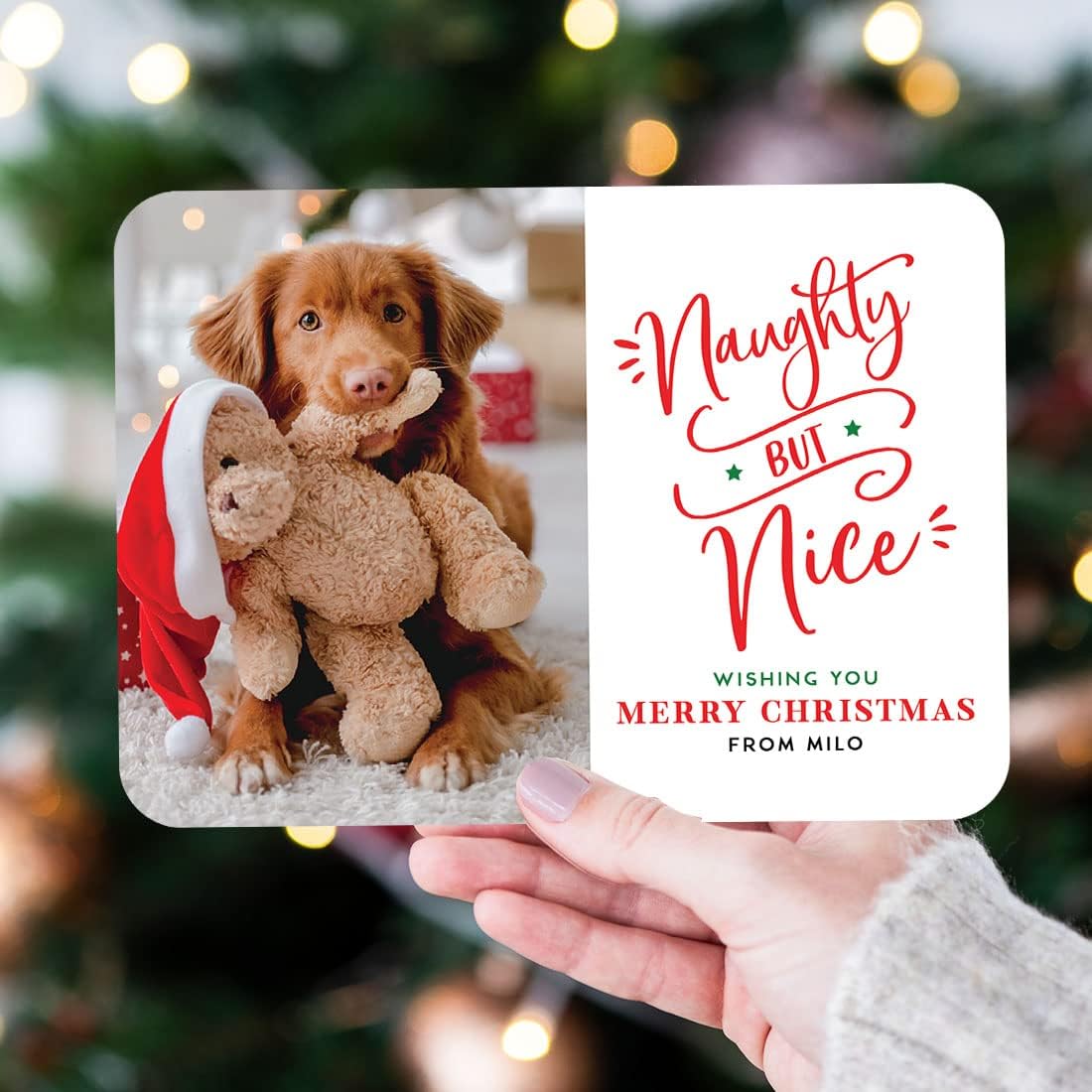 Andaz Press Personalized Pet Holiday Cards with Envelopes, Naughty But Nice 5"x7" Christmas Cards with Custom Photo Pet Portrait Cat, Dog Christmas Cards Christmas Photo Frame Greeting Cards, 24-Pack