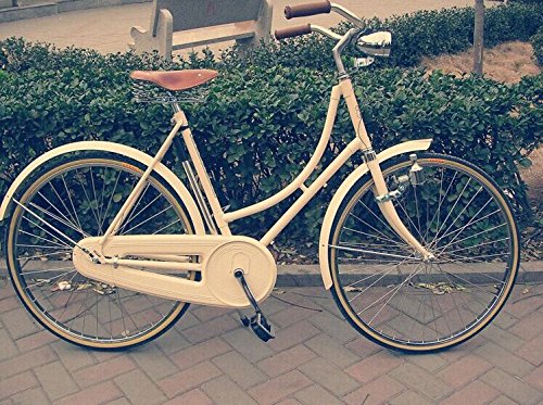 Vintage Bike Headlight, Bike LED Light, 6 LED Retro Bike Front Light Flashlight Headlamp with High Brightness and Mounting Bracket(Silver)