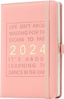 Daily Planner 2024,Academic Diary Day per Page,from Jan 2024 to Dec 2024,Best Agenda & Daily Calendar to Boost Productivity & Gratitude Journal Personal Daily Organizer - 14.5x21.5cm (Pink)
