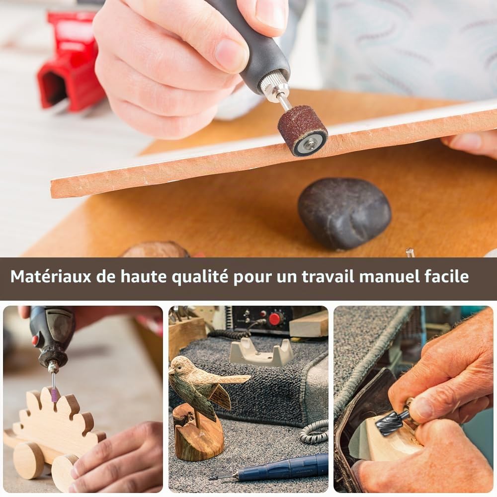 141 Pcs Outil Rotatif Multifonction, Accessoire pour Mini Meuleuse/Perceuse, Outil Rotatif Multi Usage avec Boîte, Inclut Fraise, Disque, Meule, Brosse, pour Découpe Polissage Gravure Nettoyage