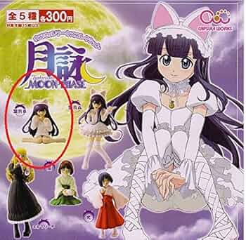Amazon | 月詠-MOON PHASE- カプセルワークスコレクション 葉月B