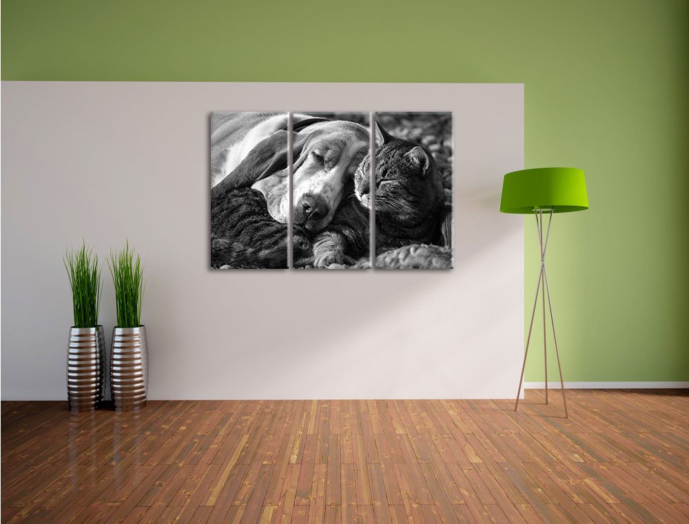 InstyleArt Stampa Su Tela Gattino E Cane Che Si Coccolano - Quadro 80x60 Cm, Ready To Hang, Made In Germany