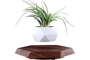 Uproot Floating Plant Pot: Enchanting Botanical Haven for Air Plants, Succulents and Home Decor