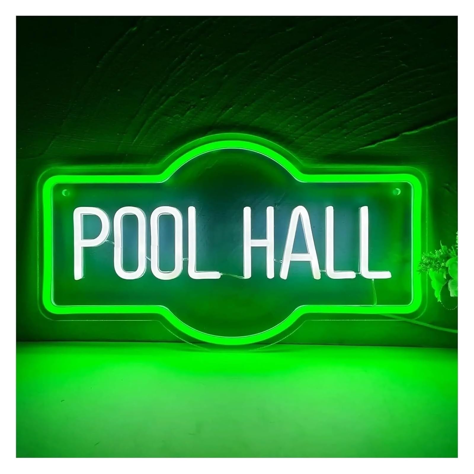 Aextroi neon Lights Sign Neon Signs Decor Indoor Billiard Light Sign 20cmx43cm