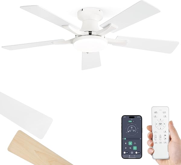 Tools & Home Improvement