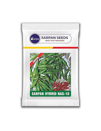 SARPAN SEEDS Sarpan Nag-10 chilli seeds | Bullet chilli seeds | Bird eye mirchi seeds | chilli seeds | vegetable seeds | Home garden (4.5)