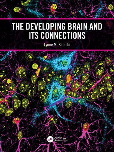 The Developing Brain and Its Connections view 2
