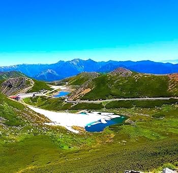 Amazon.co.jp: 【特選 糖度12度の別世界 いちご】常識を超えた甘