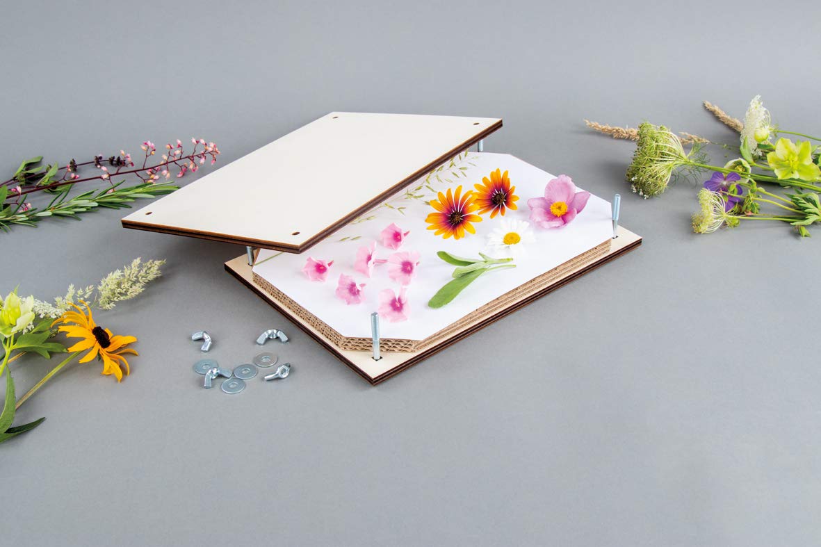 Rayher Kit de prensado de flores, 21x30 cm, para hojas y flores secas, 27000505