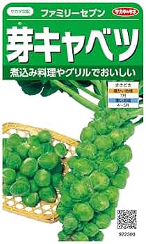 芽キャベツ様 おまとめ 61mQwvzZ7SL._UF350,350_QL50_.jpg