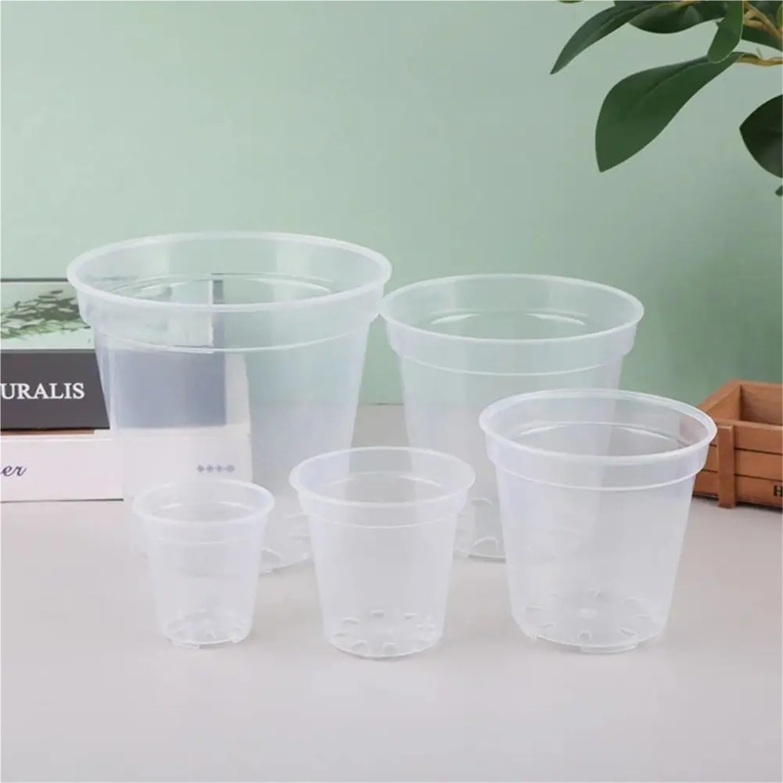 Pot de jardinière DIY en plastique Transparent, 10 pièces Pour Jardin