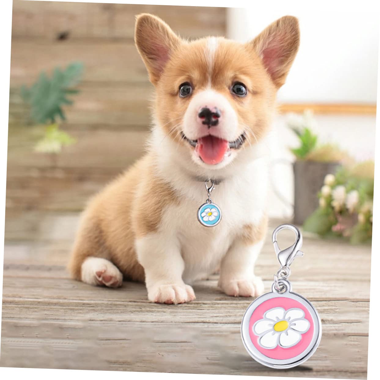 Mipcase 25piezas Placas De Identificación Para Mascotas De Etiquetas Para Perros Personalizables y Resistentes Al Agua Para Collares De Perro y Gato