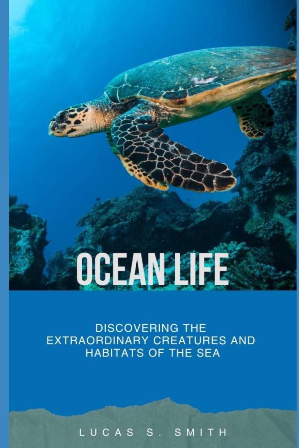 Ocean Life: Discovering the Extraordinary Creatures and Habitats of the Sea
