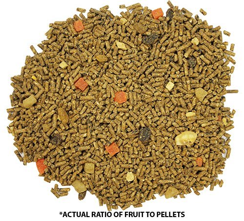 Exotic Nutrition 56775 Glider Complete 5 Lb | Natural Fruit Bits | Sugar Glider Food thumb #5