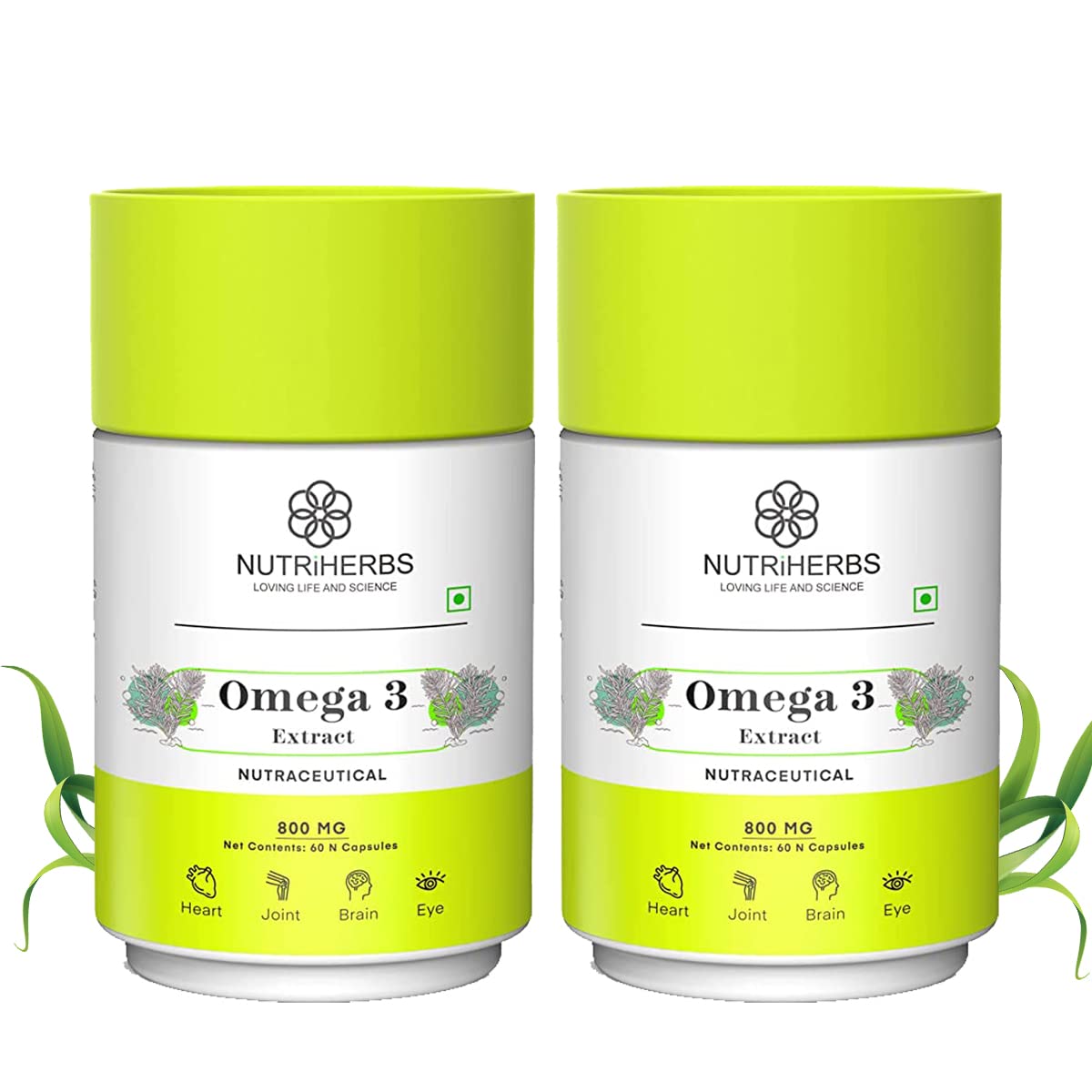 NUTRiHERBS Omega 3 800mg Capsules | Plant-Based DHA & EPA Supplement for Heart, Joint, Eye Health | Omega 3 Fatty Acids for Brain Support, Skin Wellness | Vegan Omega-3 for Men & Women - 60 Capsules - Pack of 2 (B072QWJR36) Amazon Price History, Amazon Price Tracker